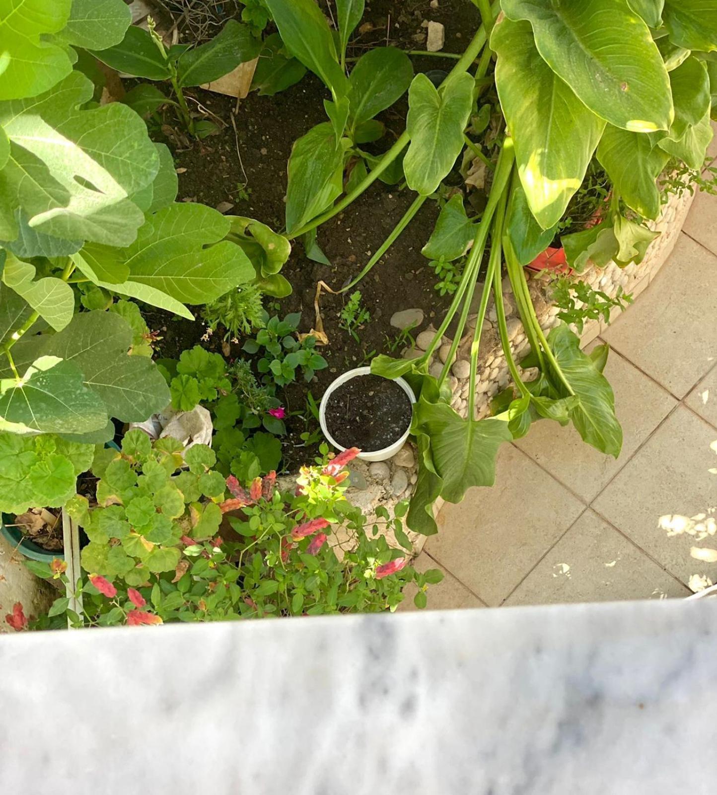 Vila Kleopatra Saranda Dış mekan fotoğraf